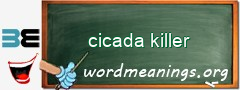 WordMeaning blackboard for cicada killer